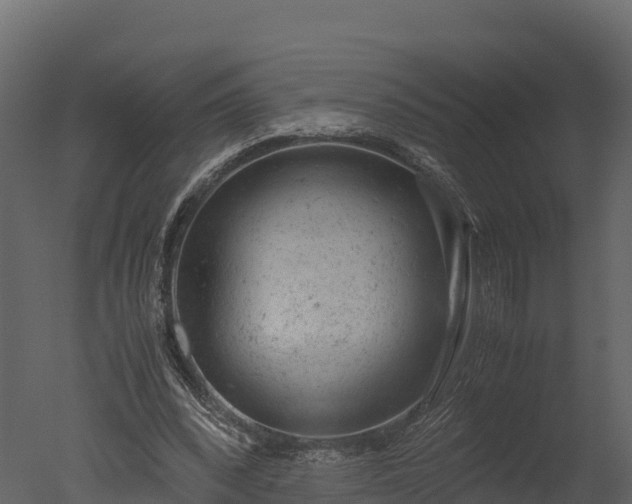 X0000050680392200506151734