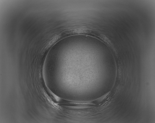 X0000050680393200506151734