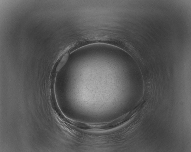 X0000050680395200506151734