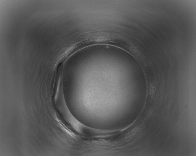 X0000050680397200506151734
