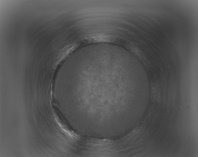 X0000050680398200506151734