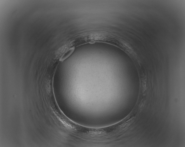 X0000050680401200506151734