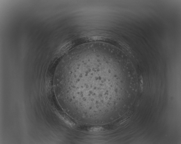 X0000050680410200506151734