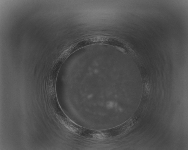 X0000050680411200506151734