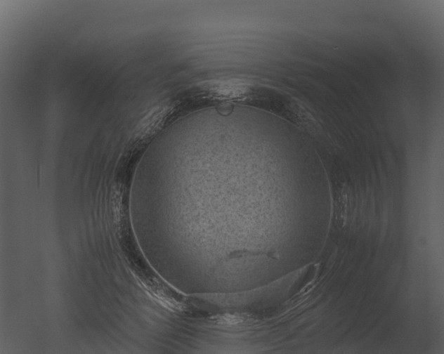 X0000050680412200506151734