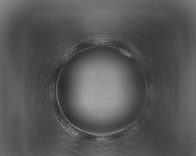 X0000050680413200506151734