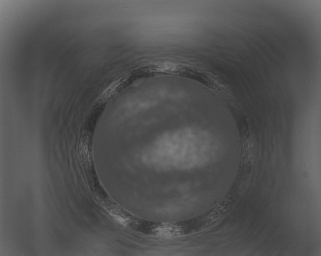 X0000050680415200506151734