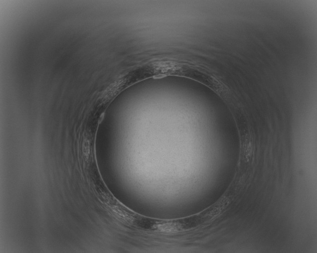 X0000050680417200506151733