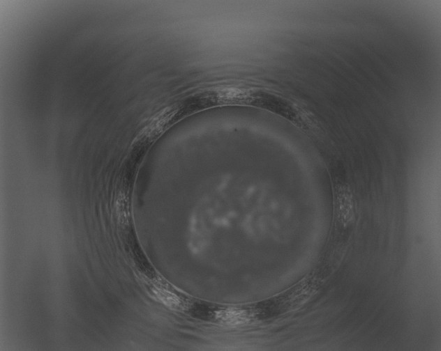 X0000050680419200506151733
