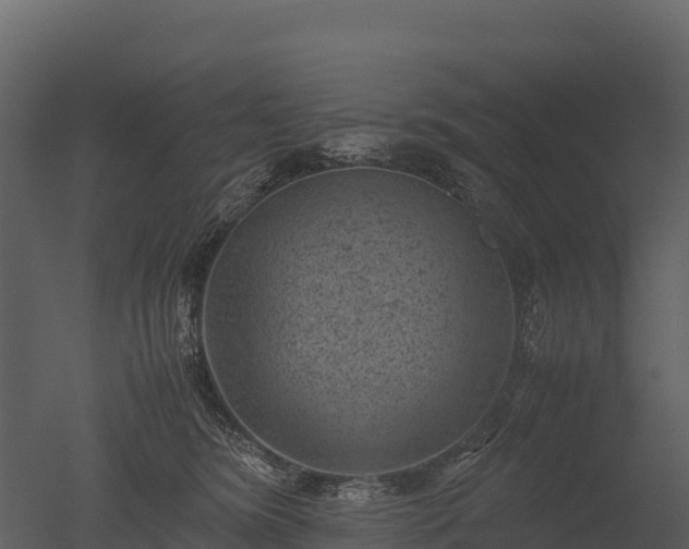 X0000050680420200506151733