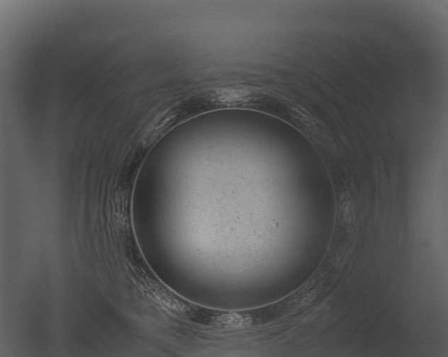 X0000050680421200506151733