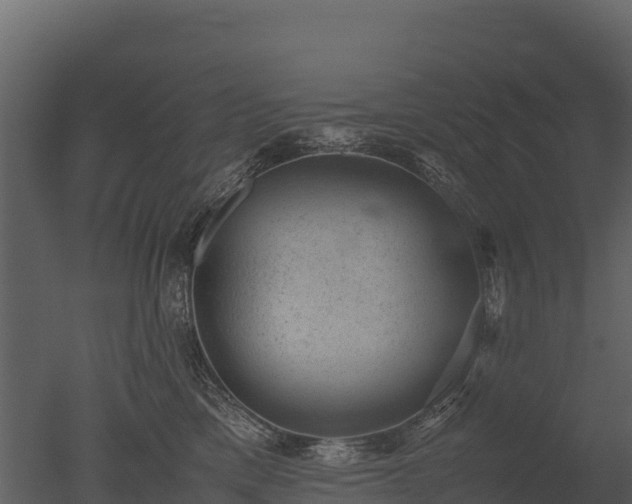 X0000050680425200506151733