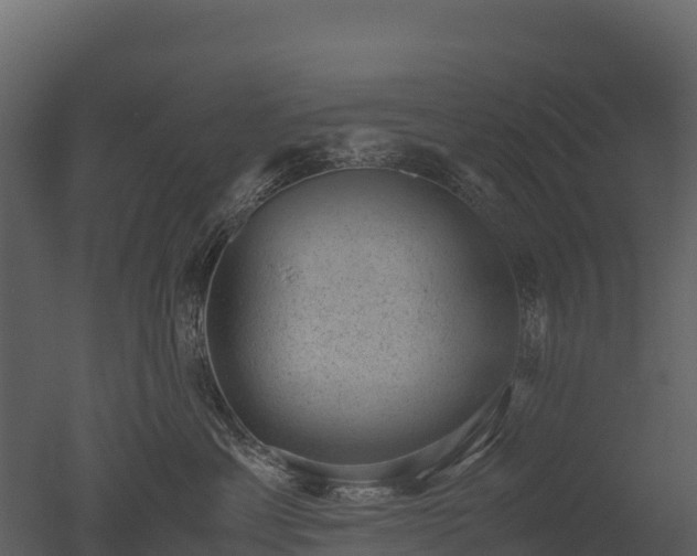 X0000050680429200506151733