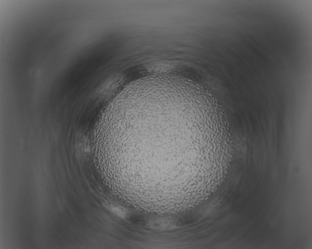 X0000050680431200506151733
