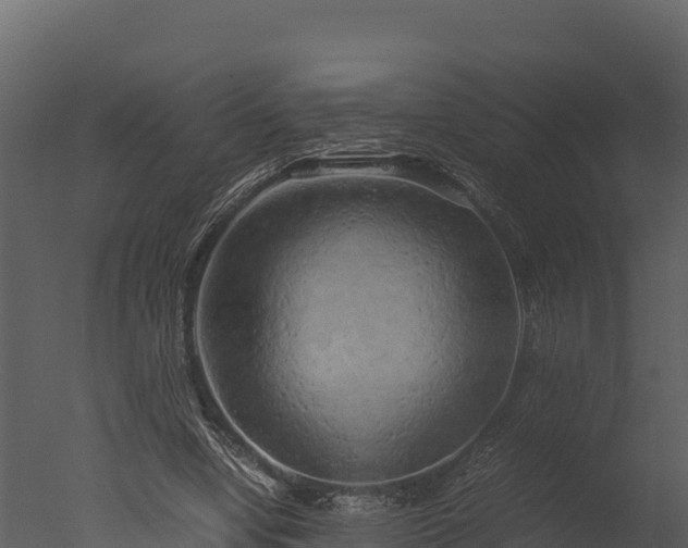 X0000050680442200506151733