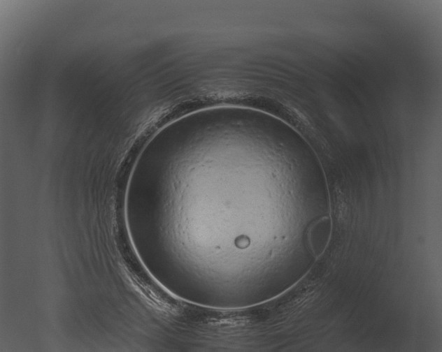 X0000050680447200506151733