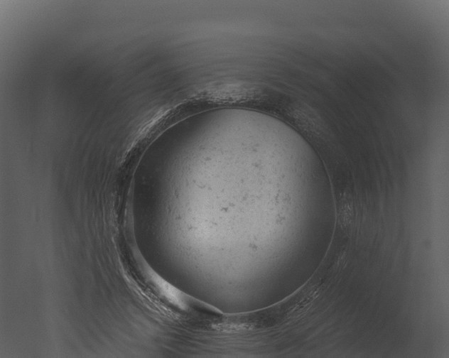 X0000050680448200506151733