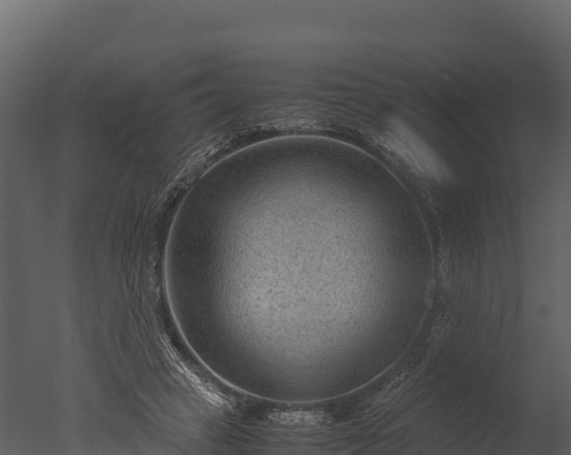 X0000050680449200506151733