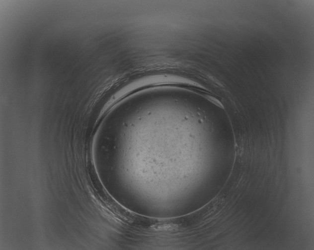 X0000050680452200506151733