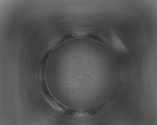 X0000050680455200506151733