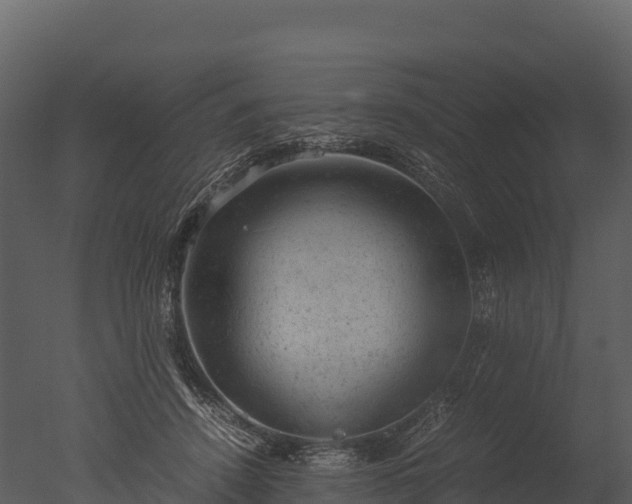 X0000050680456200506151733