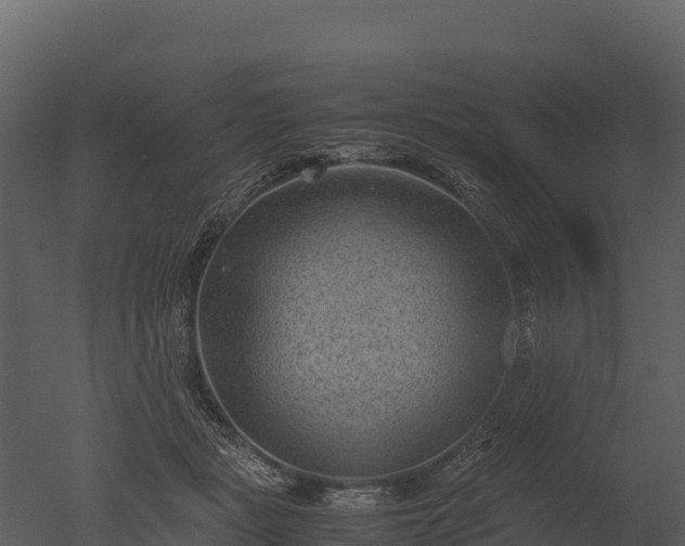 X0000050680461200506151733