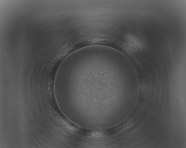 X0000050680462200506151733