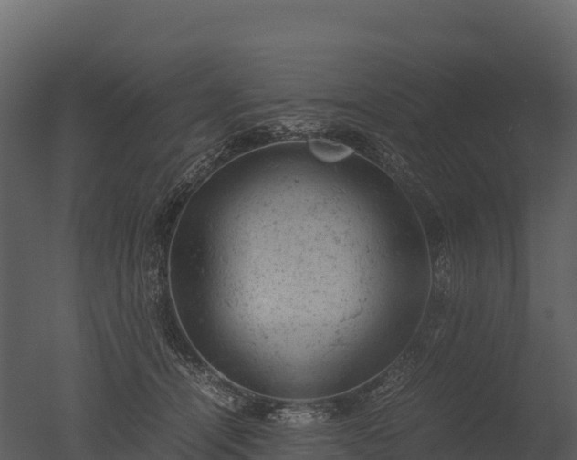 X0000050680464200506151733