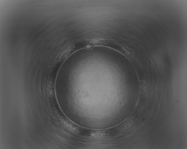 X0000050680470200506151733