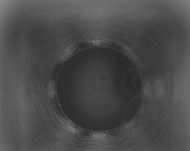 X0000050680471200506151733