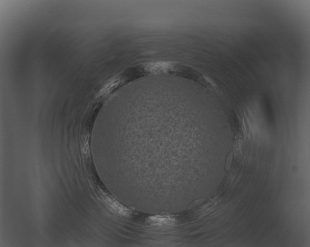 X0000050680477200506151733