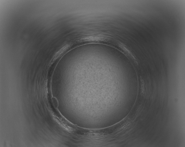 X0000050680486200506151732