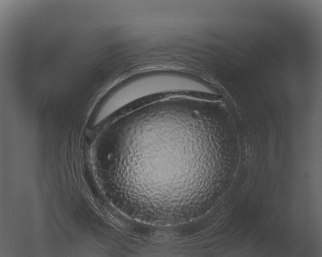 X0000050680487200506151732