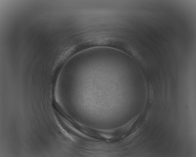 X0000050680493200506151732
