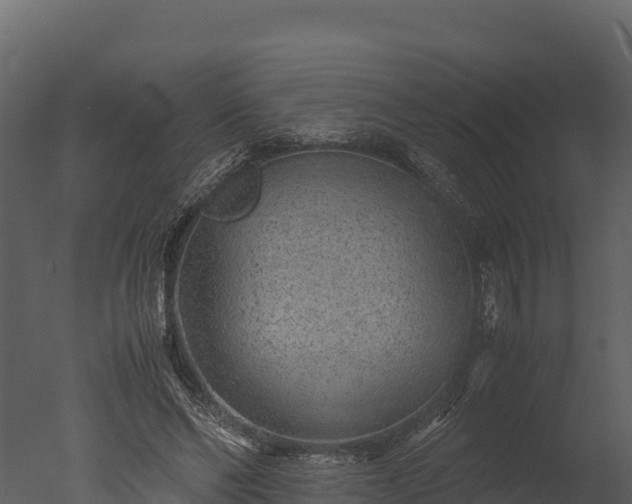 X0000050680494200506151732
