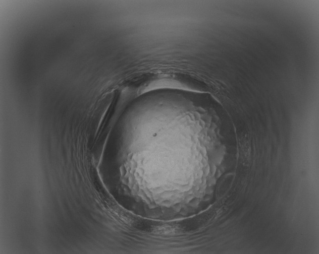X0000050680511200506151732