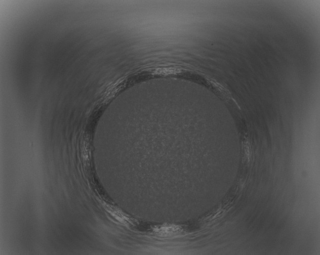 X0000050680517200506151732