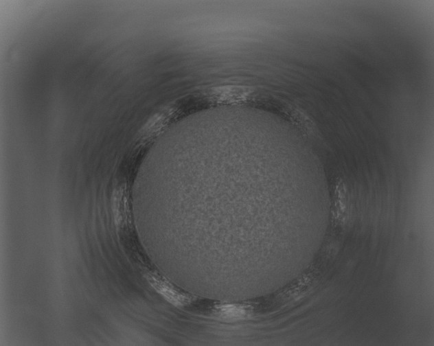 X0000050680522200506151732