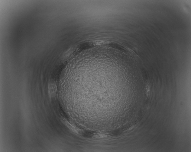 X0000050680523200506151732