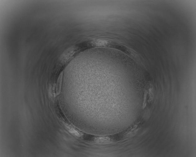 X0000050680525200506151732