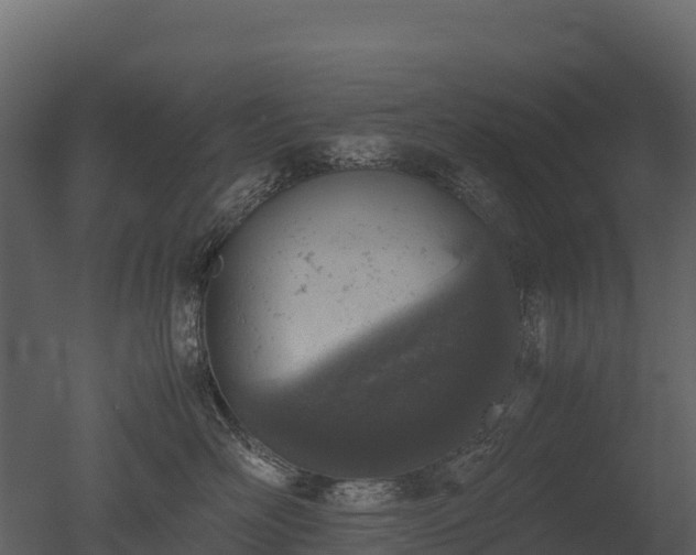 X0000050680526200506151732