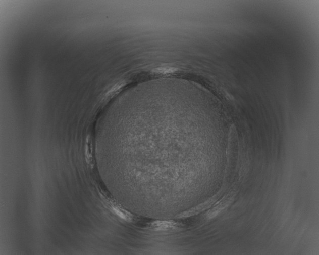 X0000050680528200506151732