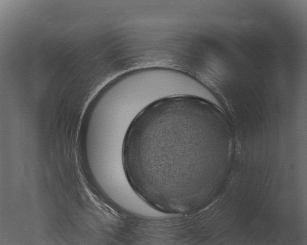 X0000050680532200506151731