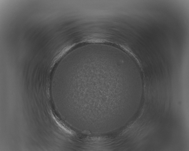 X0000050680533200506151731