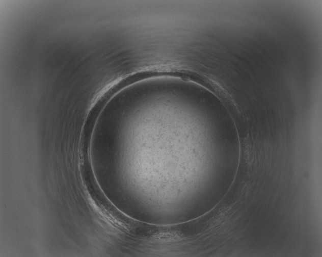 X0000050680536200506151731