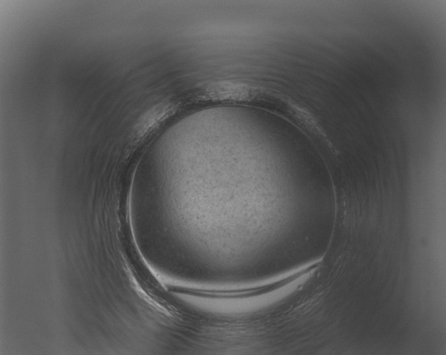 X0000050680538200506151731