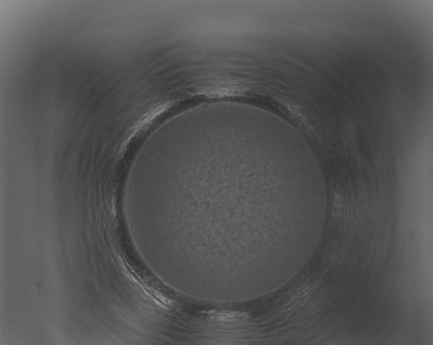 X0000050680539200506151731