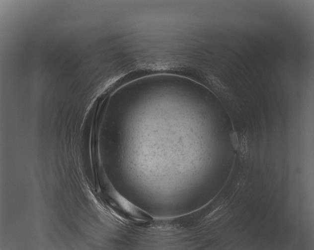 X0000050680540200506151731