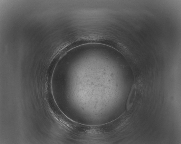 X0000050680544200506151731