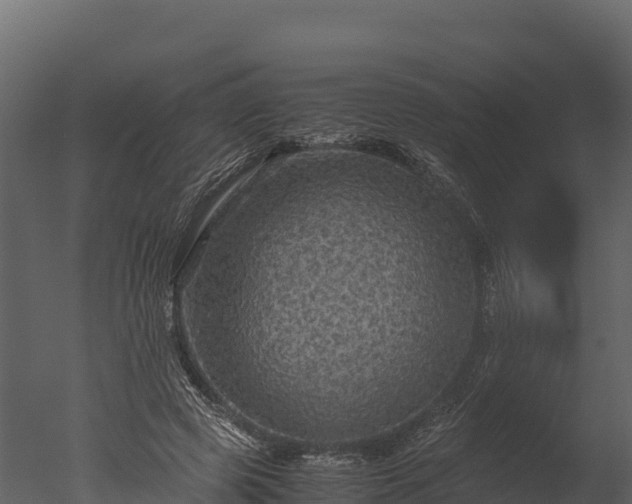 X0000050680545200506151731